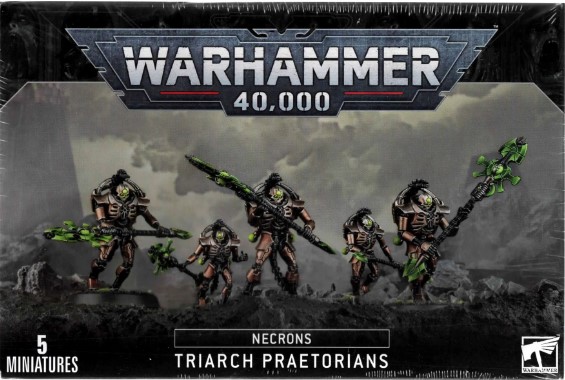 Necron Lychguard/Triarch Praetorians